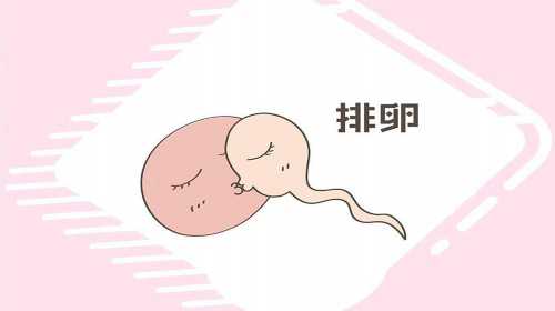 绍兴供卵生殖机构 2023在绍兴市妇幼保健院做供卵试管婴儿要多少钱? ‘32周双顶