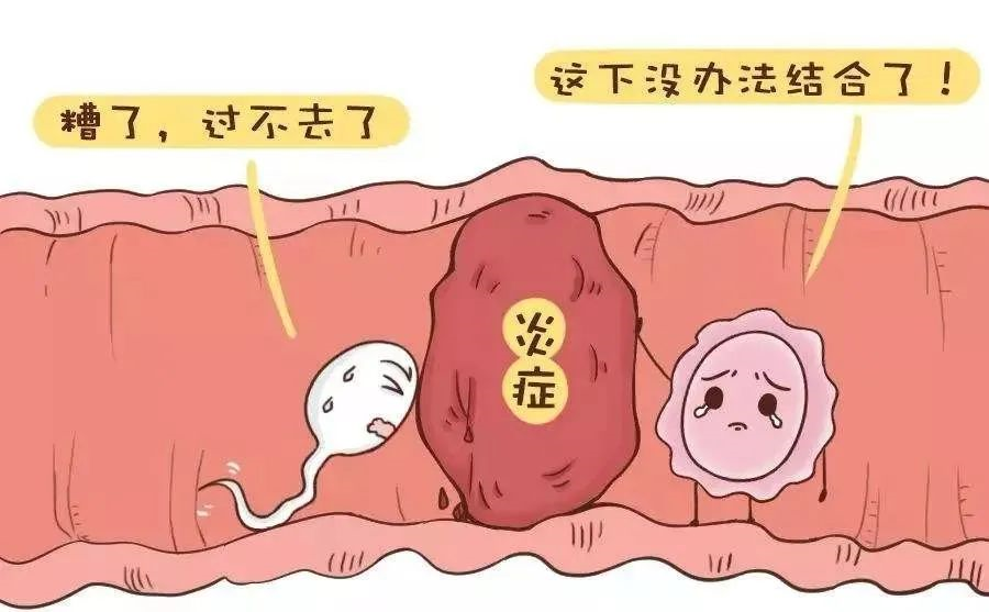 浙江借卵生子技术 2023浙江省立医院试管婴儿成功率： ‘6周b超数据看男女’