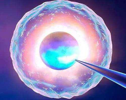 合肥代孕企业,试管婴儿中，什么样的胚胎移植后成功率高？