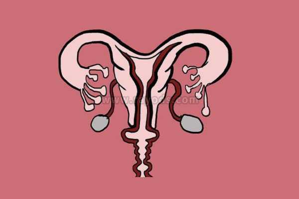 合肥做代孕哪里安全,子宫内膜薄可以去日本试管婴儿吗 为什么子宫内膜会变薄
