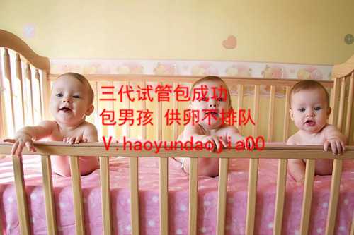 合肥哪里有供卵的医院_合肥什么医院有做供卵_捐卵前几天可以同房吗北京市职