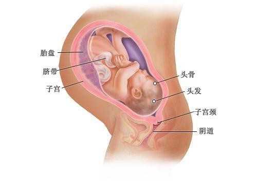 宁夏六院供卵_男性试管婴儿取精的时候痛苦吗?如何能减轻痛苦