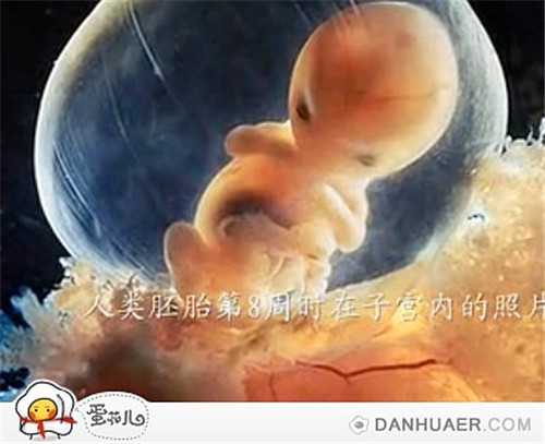 惠州世纪供卵_想要试管婴儿囊胚等级高?这几个攻略要看好!