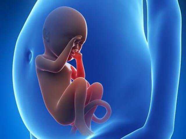 异常染色体的孩子_未生育子宫切除_2022上海哪家医院能做供卵试管婴儿？上海供
